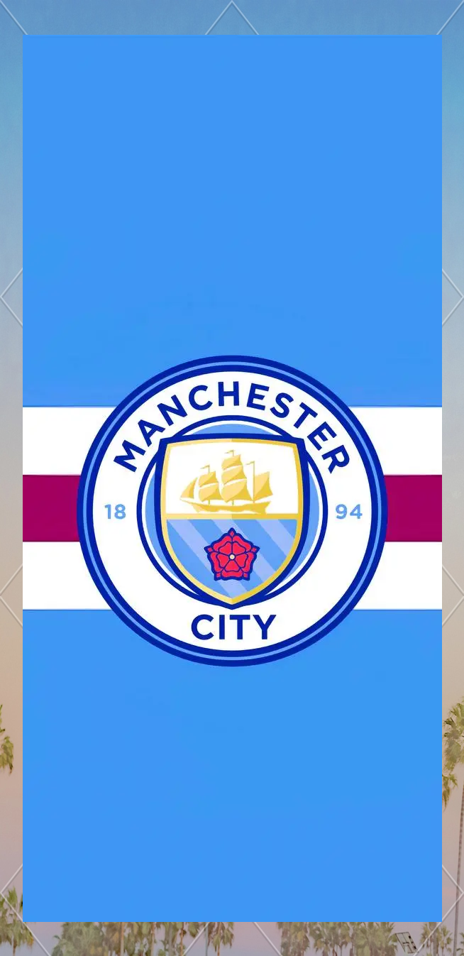 英超积分榜：枪手曼城维拉排名前三，水晶宫获胜升至第四，（英超积分最新形势：阿森纳、曼城、维拉占据前三，水晶宫取胜跻身第四）